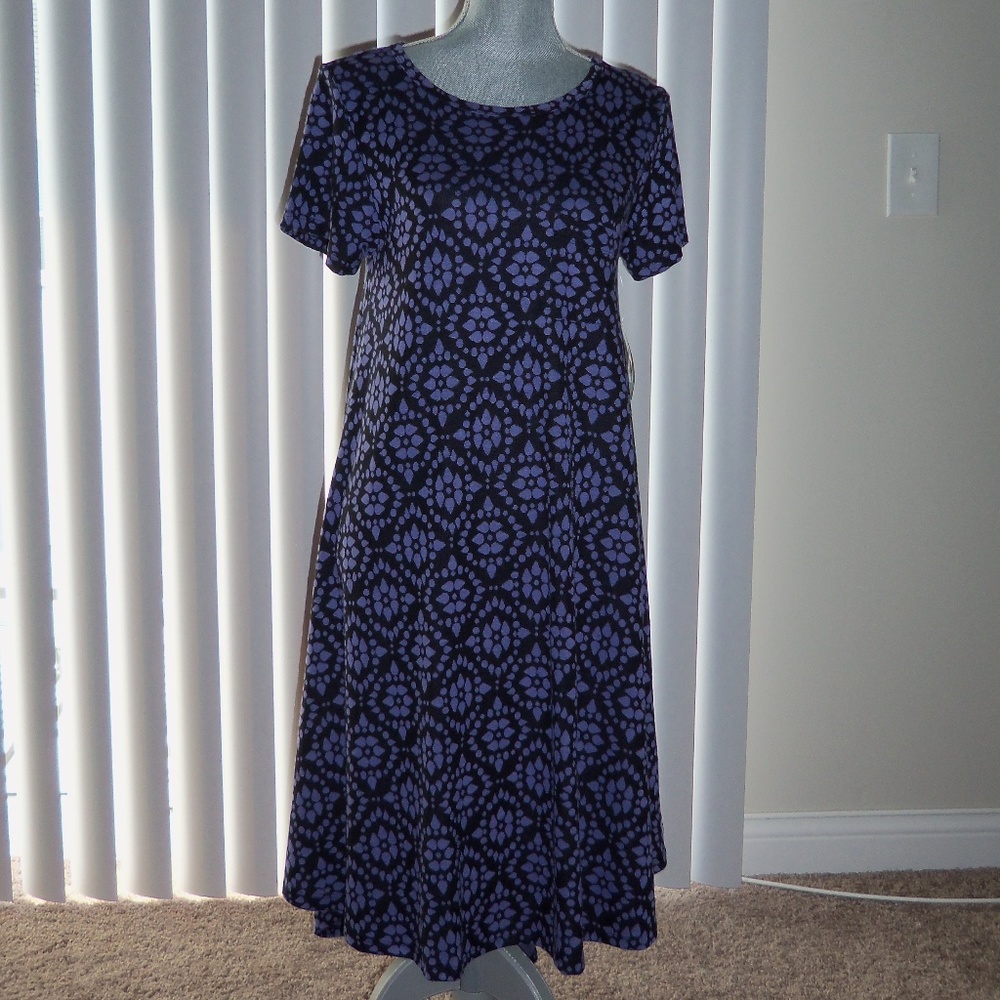 NWT Lularoe Carly Dress Purple Size Small!